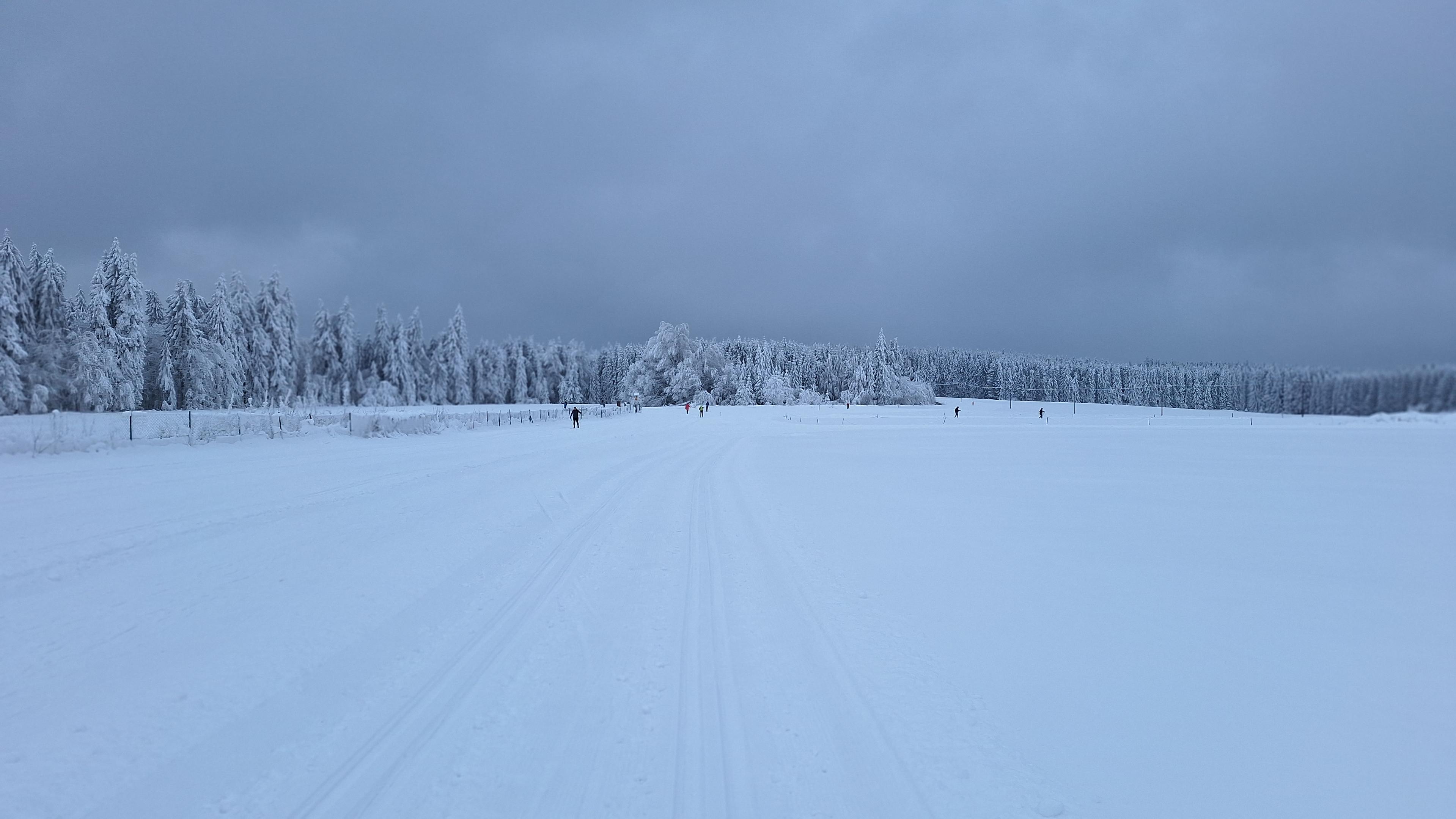Snow. Lot of. On rhe ground, on the trees