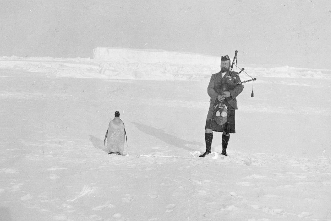 Bagpiper Gilbert Kerr in full highland dress plays for an Emperor penguin. The penguin's feet were tied while Kerr tested its reaction to the music, which is not visible on the photography.
